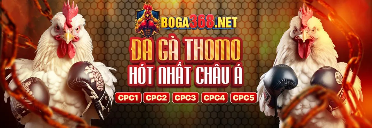 Đá gà trực tuyến tg88 win